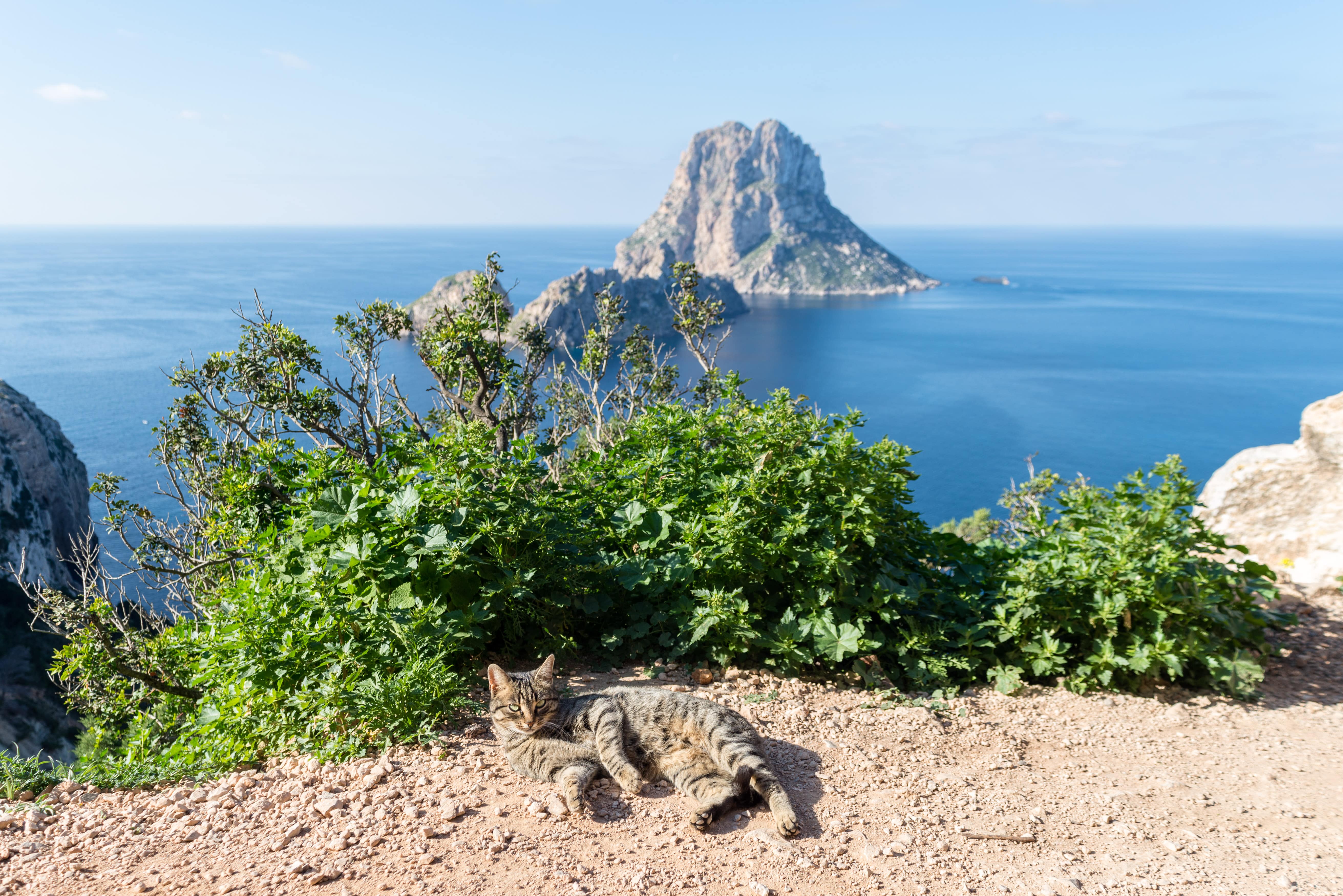 Bule Civic undtagelse The 10 most instagrammable places in Ibiza