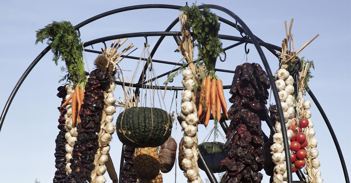 verduras colgadas de arcos metalicos