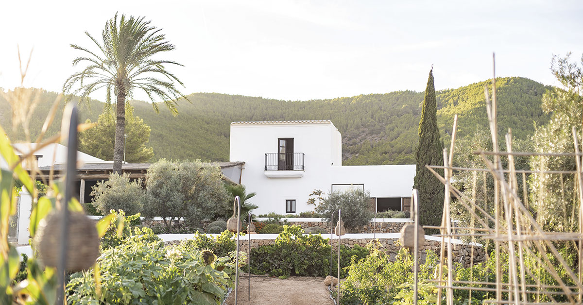 garden at casa maca overlooking the hotel